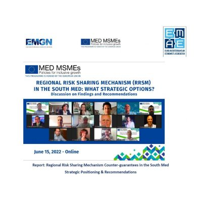 MED MSMEs Webinar Report: Regional Risk Sharing Mechanism Counter-guarantees in the South Med - Strategic Positioning & Recommendations