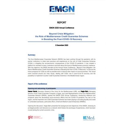EMGN 2020 Annual Conference report